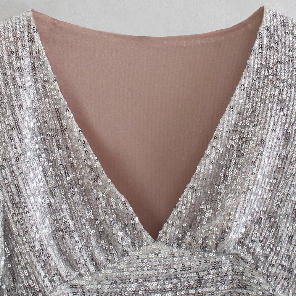 Kamerine Sequined Top … Blonder Mercantile